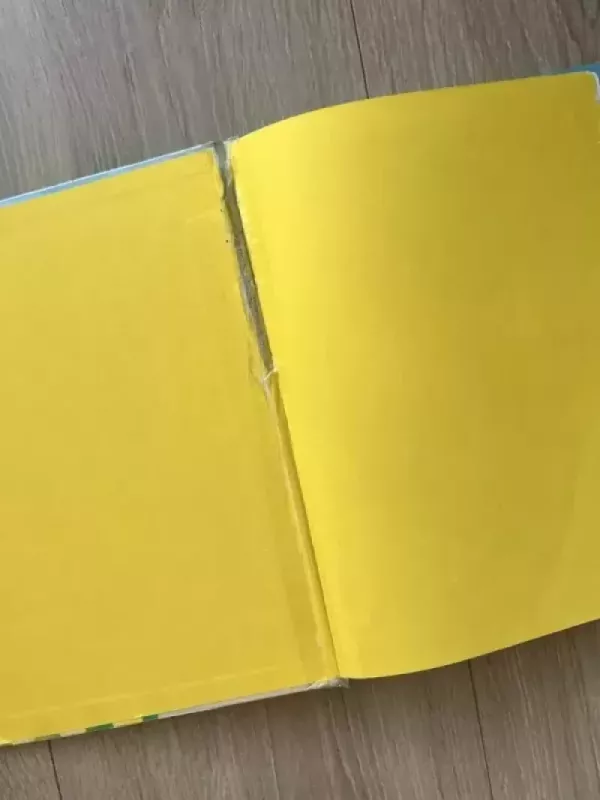 Dambis - Walt Disney, knyga 4