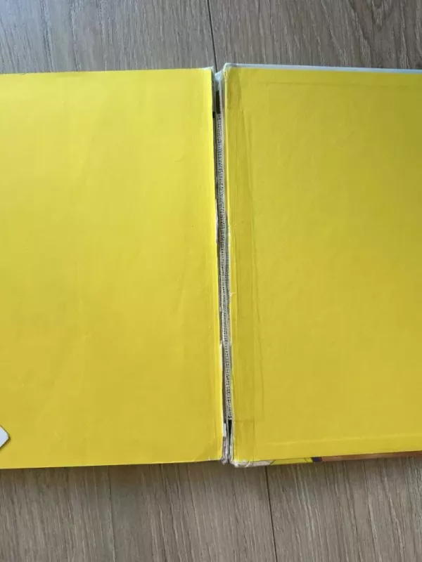 Dambis - Walt Disney, knyga 5