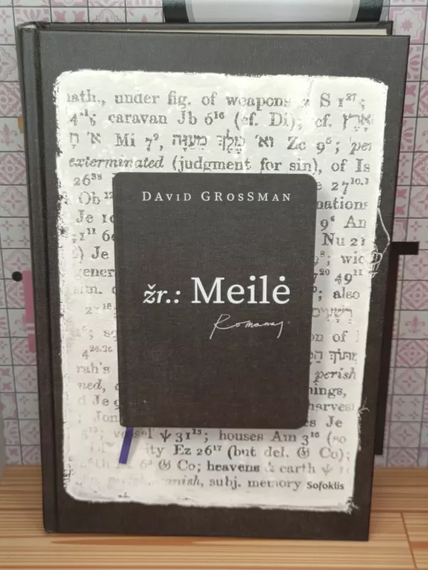 Žr.: Meilė - David Grossman, knyga 2