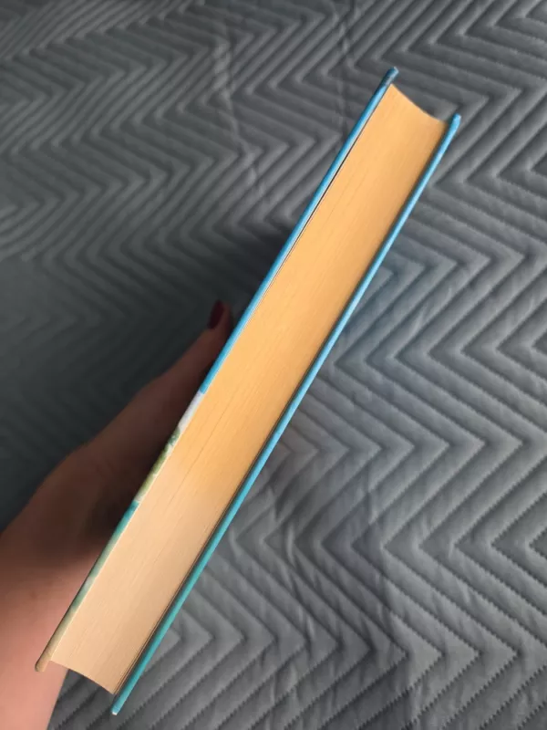 Mes pradedame iš naujo - Coleen Hoover, knyga 3