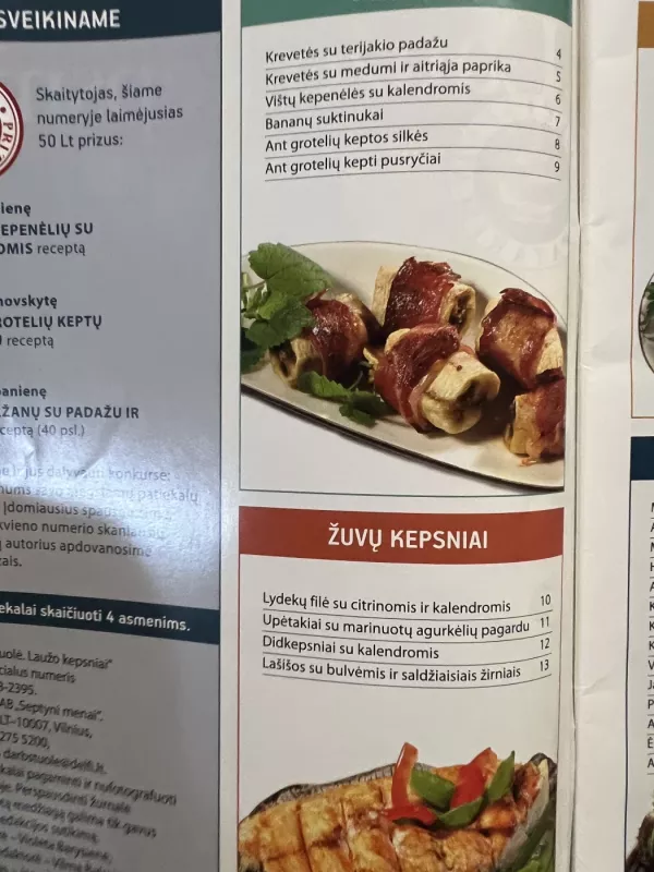 Darbštuolė 2008. Laužo kepsniai - Redaktorė Violeta Barysienė, knyga 4