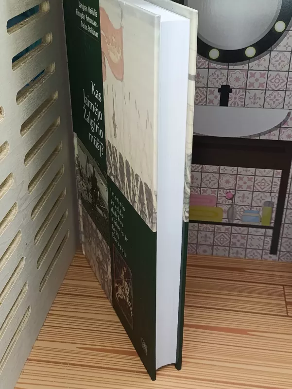 Kas laimėjo Žalgirio mūšį? - Rimvydas Petrauskas, knyga 4