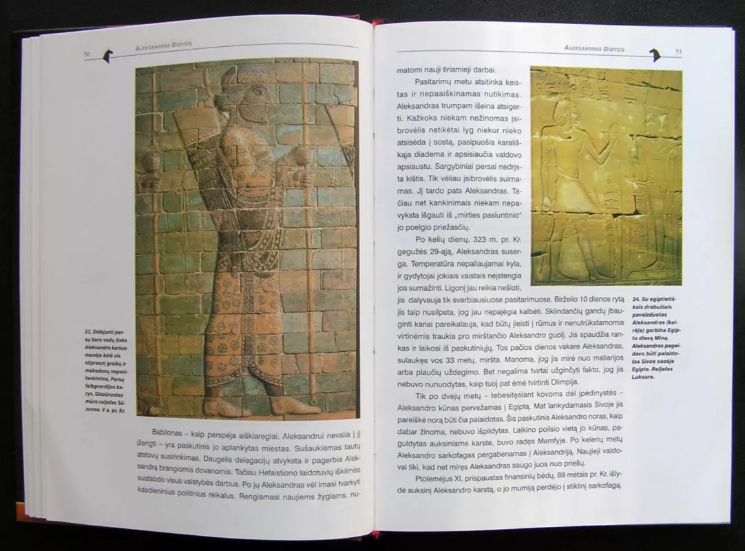 Sfinksas Istorijos paslaptys nuo Marko Polo iki Rasputino - Hansas Christianas Hufas, knyga 4