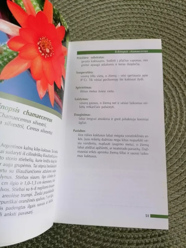 Kaktusai. Mažoji enciklopedija - Sasnauskas V., Sneškienė V., Stasiulionienė E. , knyga 4