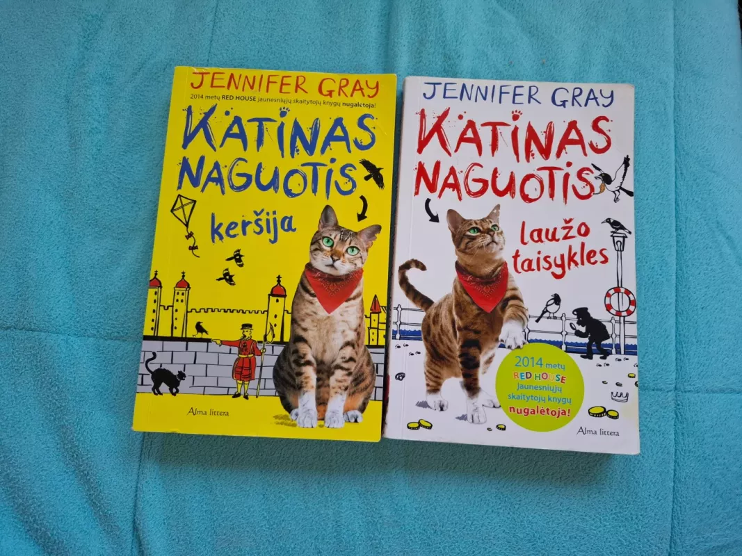Katinas naguotis laužo taisykles - Jennifer Gray, knyga 2