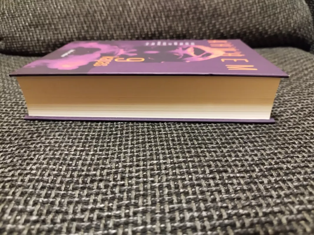 9 kapas - Stefan Ahnhem, knyga 6