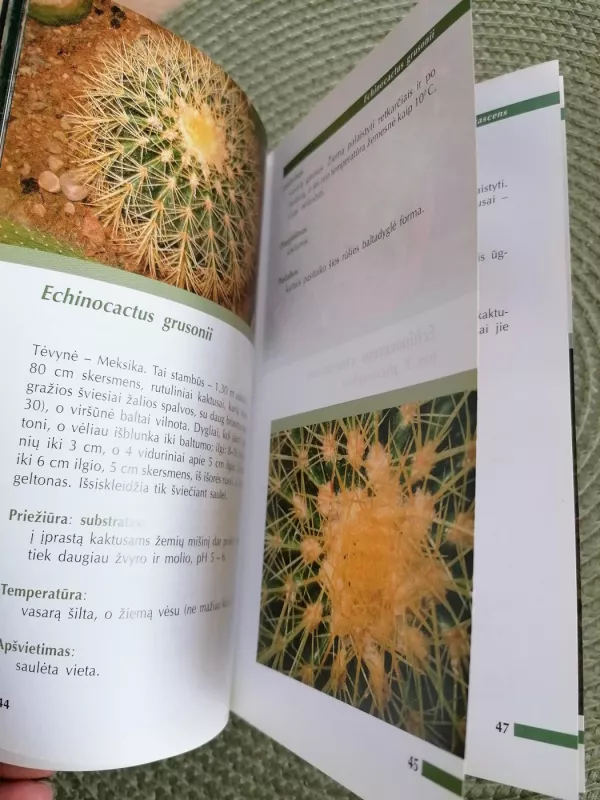 Kaktusai. Mažoji enciklopedija - Sasnauskas V., Sneškienė V., Stasiulionienė E. , knyga 5