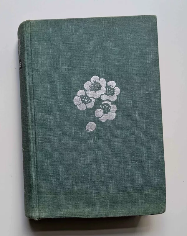 Pavasaris per kalnus eina - Salomėja Nėris, knyga 3