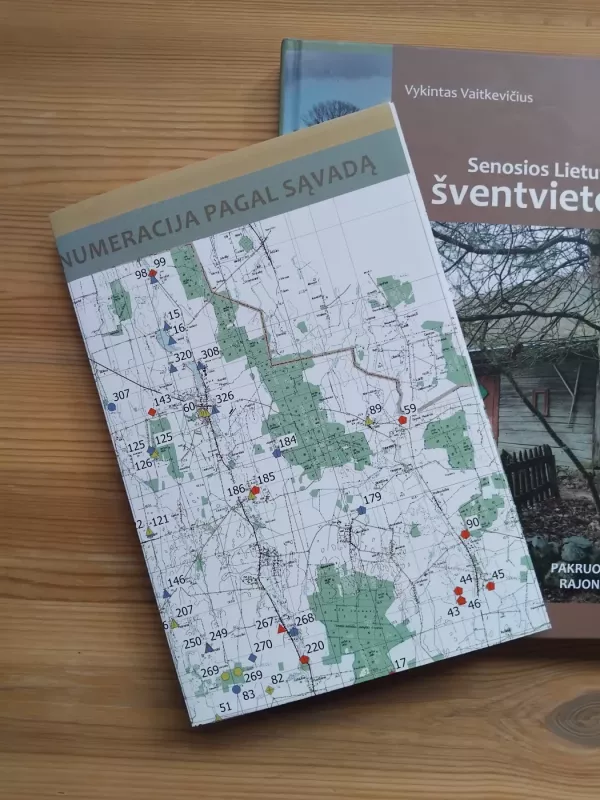 Senosios Lietuvos šventvietės: Pakruojo rajonas - Vykintas Vaitkevičius, knyga 4