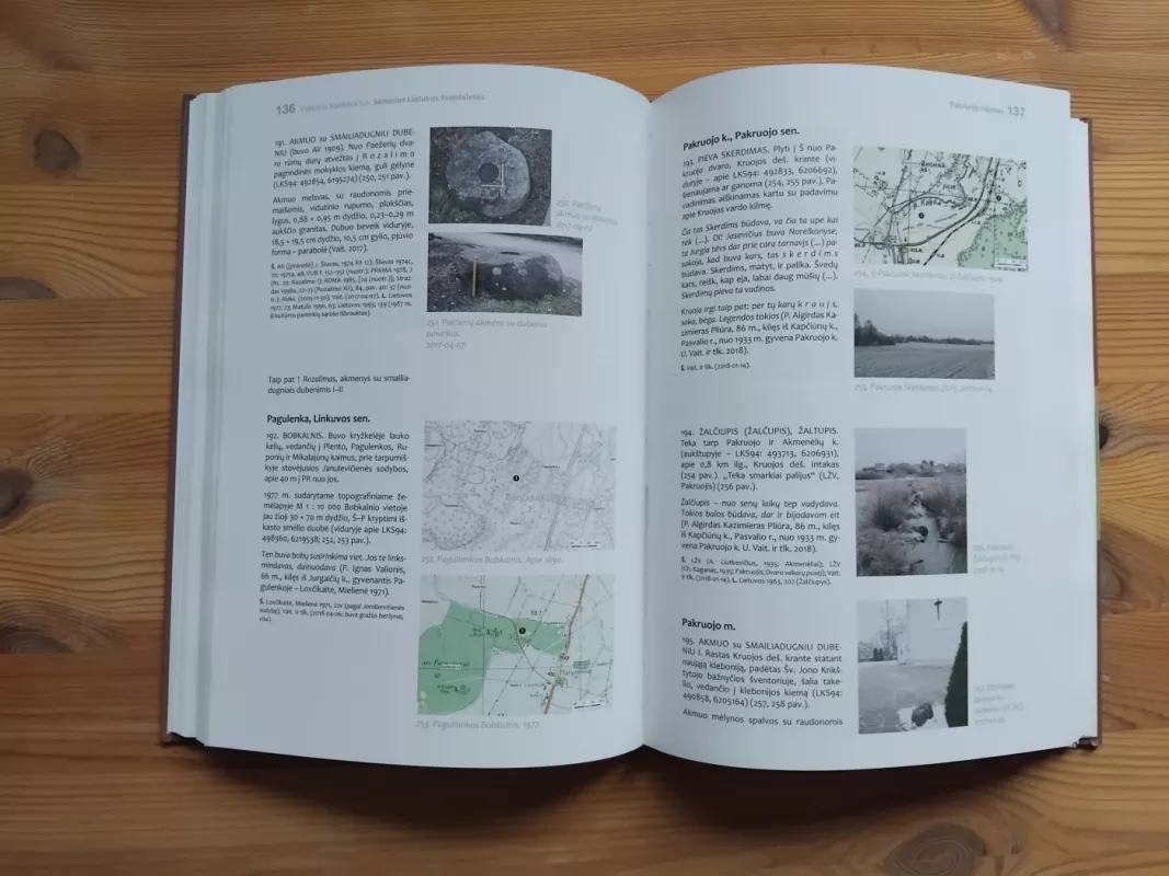 Senosios Lietuvos šventvietės: Pakruojo rajonas - Vykintas Vaitkevičius, knyga 3