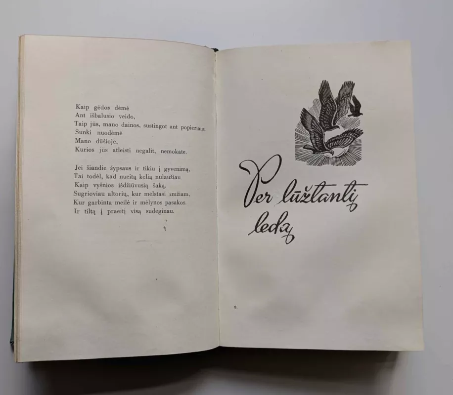 Pavasaris per kalnus eina - Salomėja Nėris, knyga 5