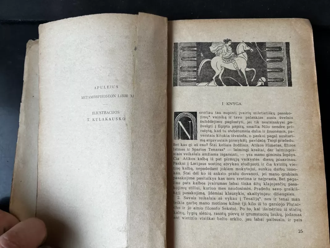 Aukso asilas - Apulėjus, knyga 4