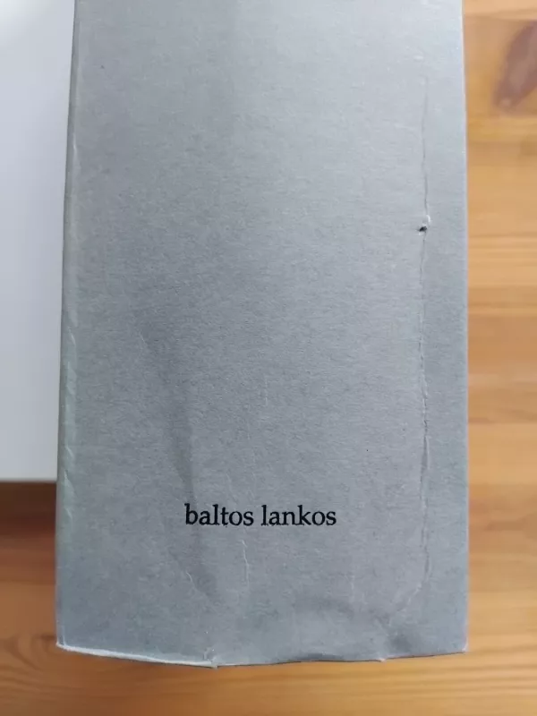 Asmuo ir idėjos I - Arūnas Sverdiolas, knyga 6