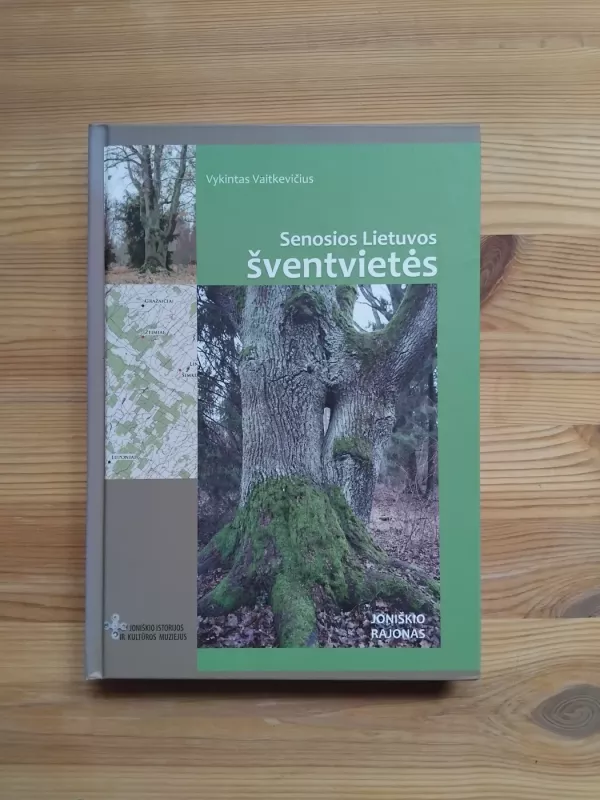 Senosios Lietuvos šventvietės: Joniškio rajonas - Vykintas Vaitkevičius, knyga 2