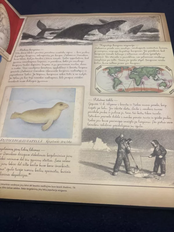 okeanologija - Albinas Bačelis, knyga 4