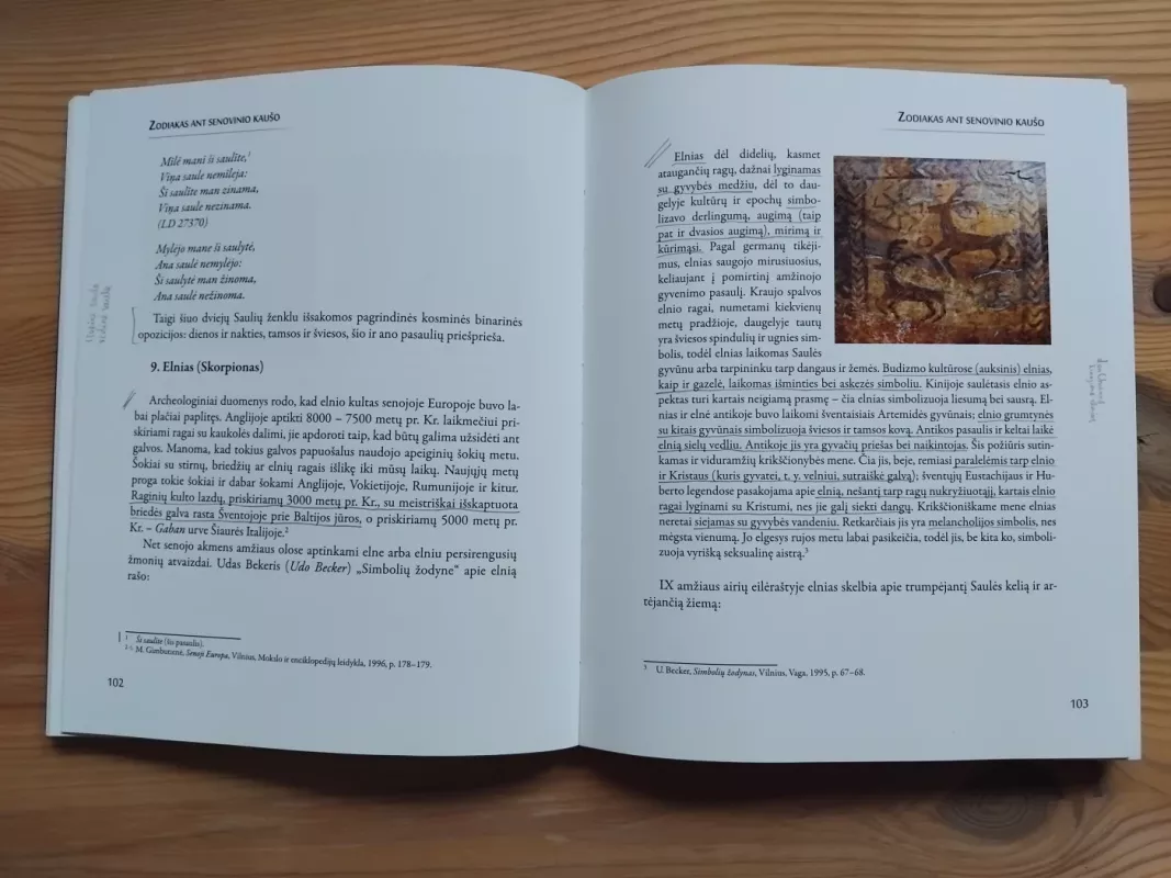 Skaitant dangaus ženklus. Lietuviško Zodiako pėdsakais - Jonas Vaiškūnas, knyga 5
