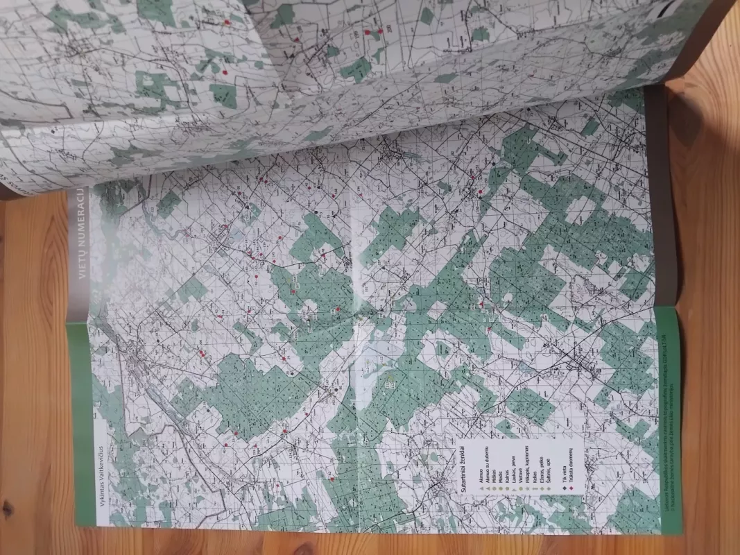 Senosios Lietuvos šventvietės: Joniškio rajonas - Vykintas Vaitkevičius, knyga 4