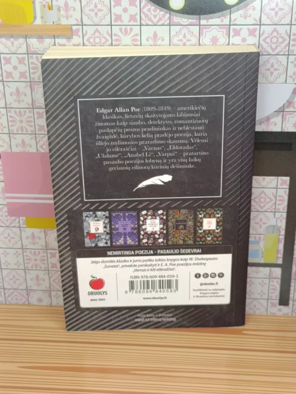 Varnas ir kiti eilėraščiai - Edgar Allan Poe, knyga 4