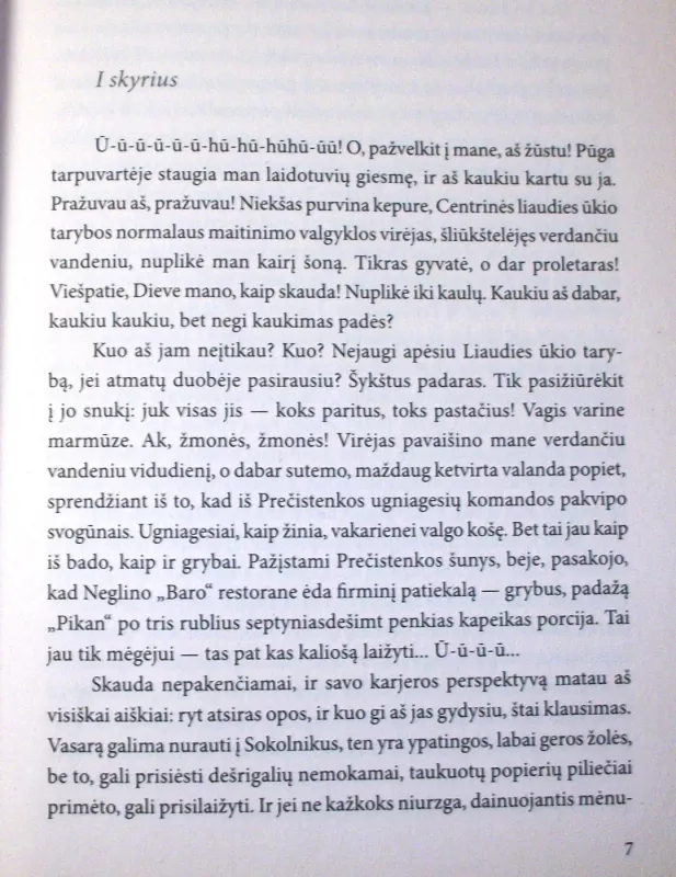 Šuns širdis - Michailas Bulgakovas, knyga 6