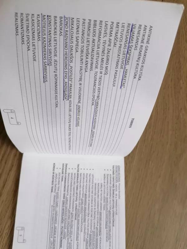 Vienu smūgiu pasirenk valstybiniam lietuvių gimtosios kalbos egzaminui - Alijauskienė Nomeda, knyga 5