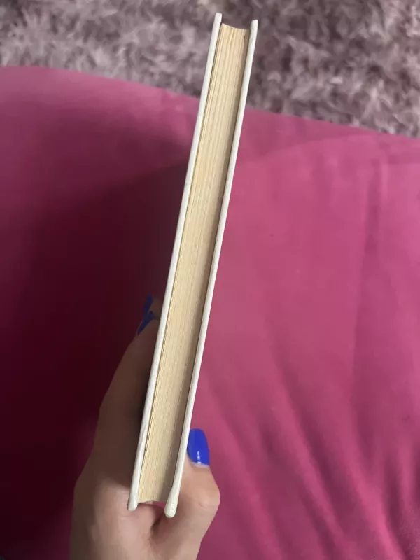 Išmintingųjų puota - Tomas Sakalauskas, knyga 6