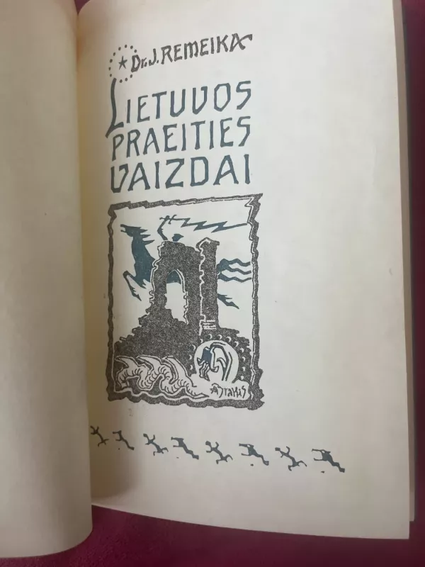 Lietuvos praeities vaizdai. Ką kalneliai pasakoja - Jonas Remeika, knyga 5