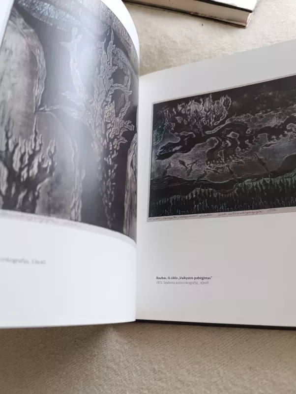 Grafika Piešiniai - Romualdas Čarna, knyga 3