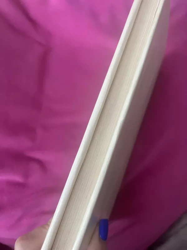 Namas su mezoninu - Antonas Čechovas, knyga 5