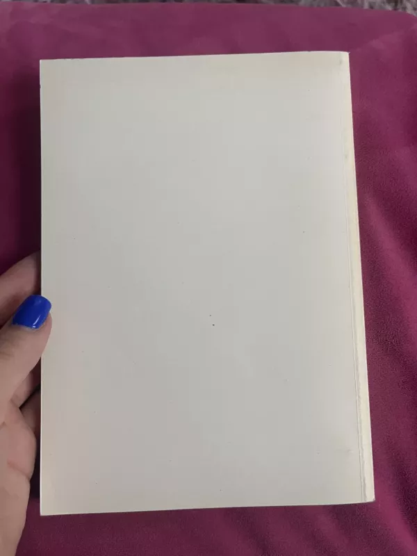 Žmogaus teisių mokymas vidurinėje mokykloje - N. Letukienė, knyga 5