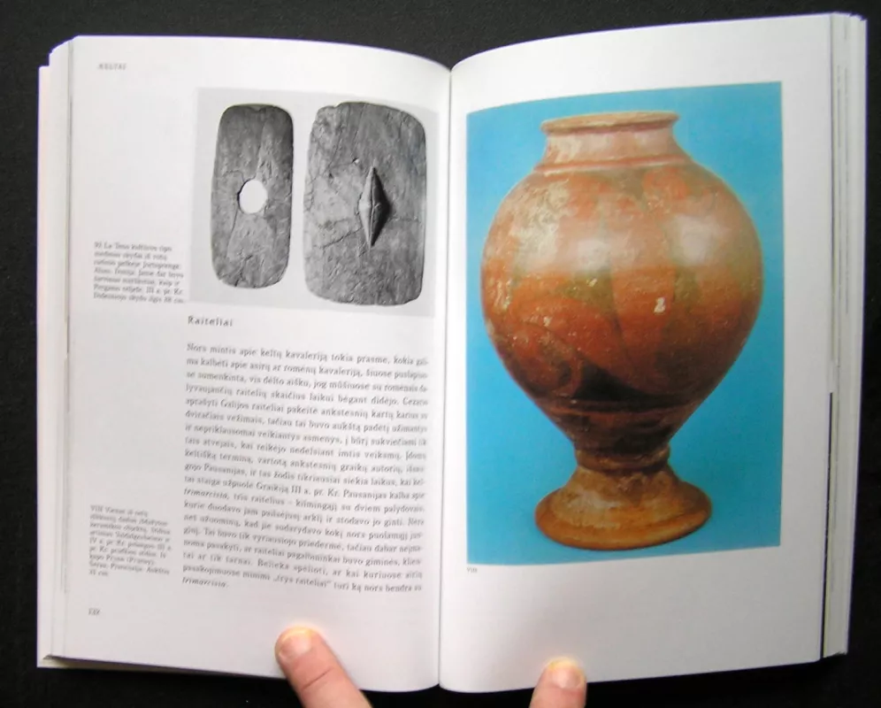 Keltai - T.G.E. Powell, knyga 5