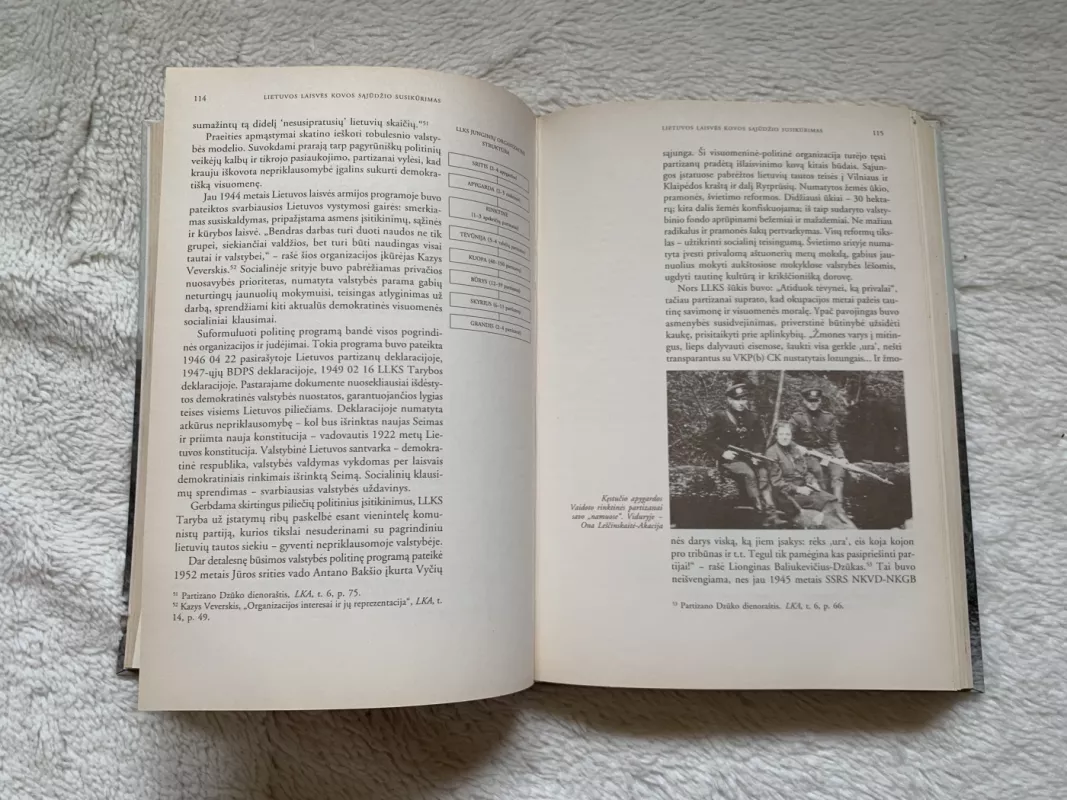 Pasipriešinimo istorija 1944-1953 m. - Nijolė Gaškaitė-Žemaitienė, knyga 4