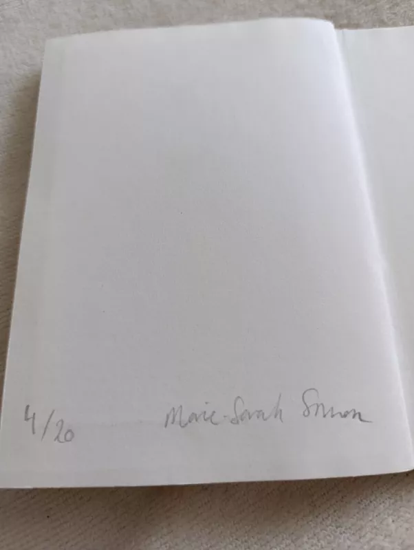 36 kambariai - Kipras Dubauskas, Woodstone Kugelblitz, knyga 3