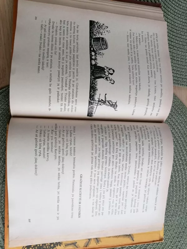 Trys verpėjos -  Broliai Grimai, knyga 6