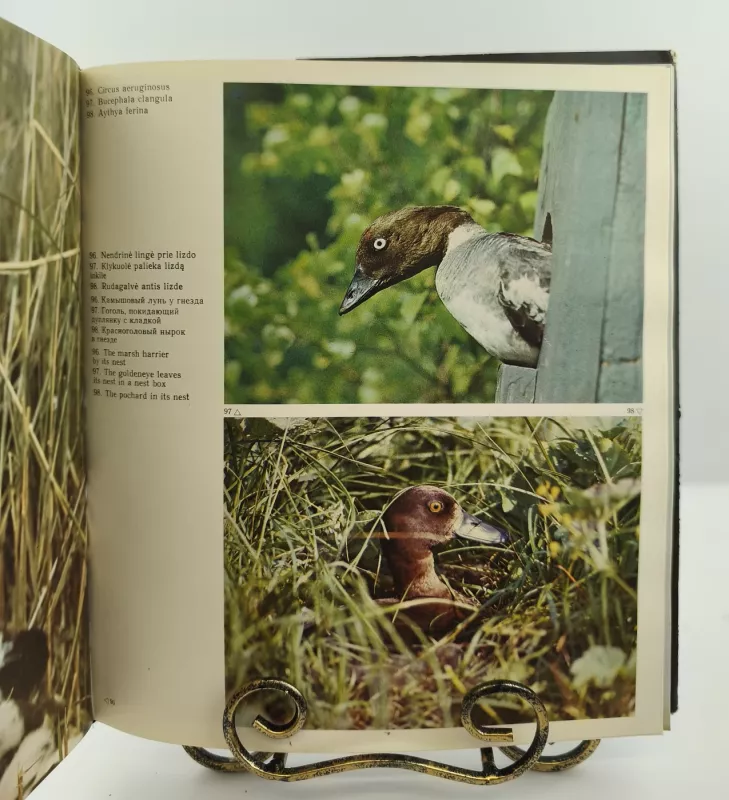 Sparnuočių pasaulyje - Autorių Kolektyvas, knyga 2