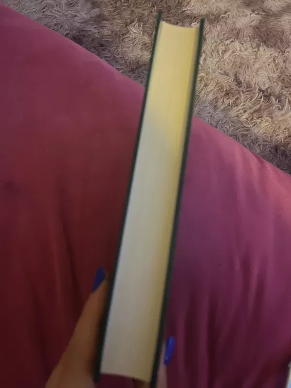 Katalikų giesmynas - Nihil Obstat, knyga 4