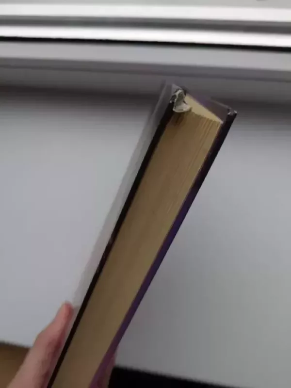 Princesės dienoraštis - Meg Cabot, knyga 3