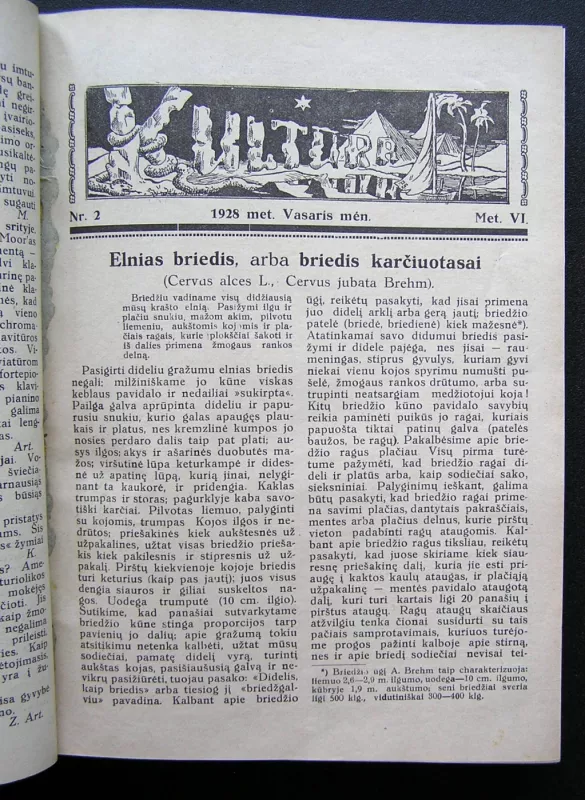 Kultūra. 1928 m. Nr. 1 – Nr. 12 - Redaktorius: P. Bugailiškis, knyga 5