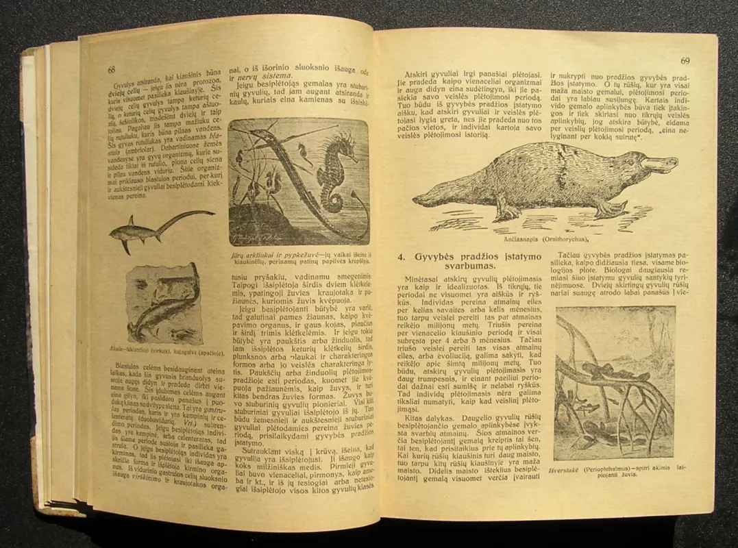 Kultūra. 1925 m. Nr. 1 – Nr. 12 - Redaktorius: P. Bugailiškis, knyga 6