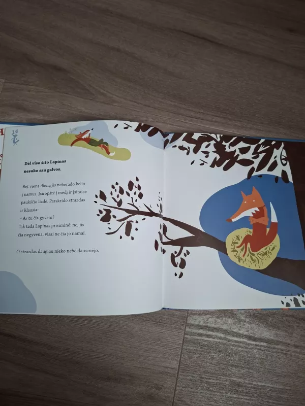 Apie Lapiną, kuris pametė protą - Martin Baltscheit, Tatjana  Hauptmann, knyga 3