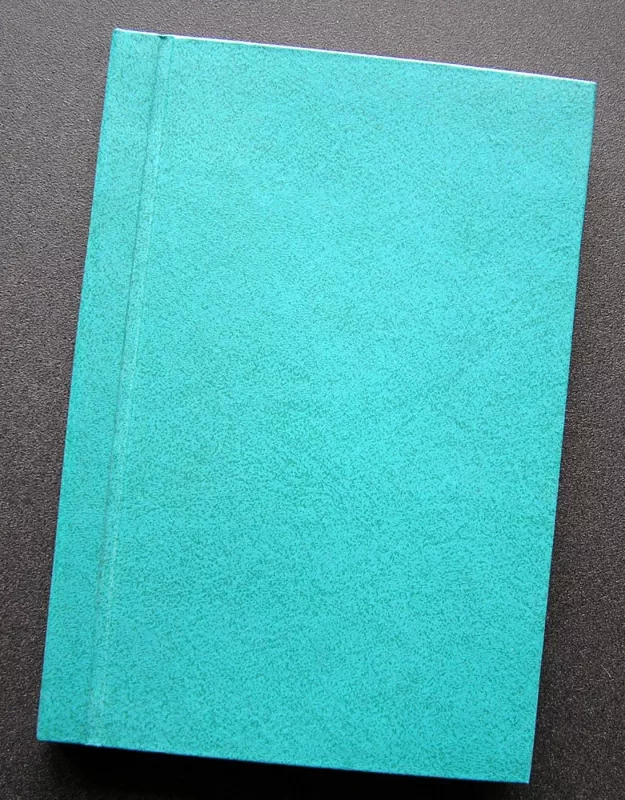 Tunelis. Romanas 6-iose dalyse - B. Kelermanas, knyga 3