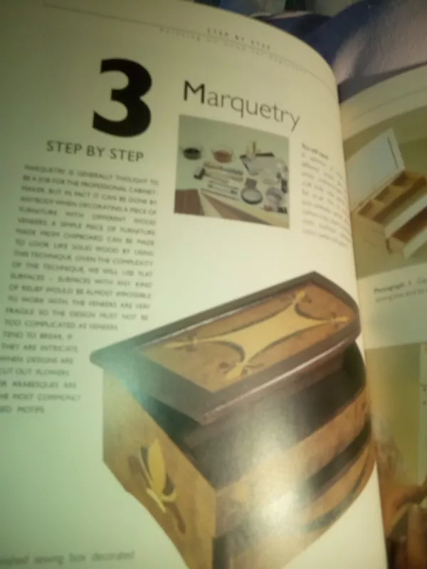 Painting on wood - Magda Guinovart, Rafael Manchon, knyga 3