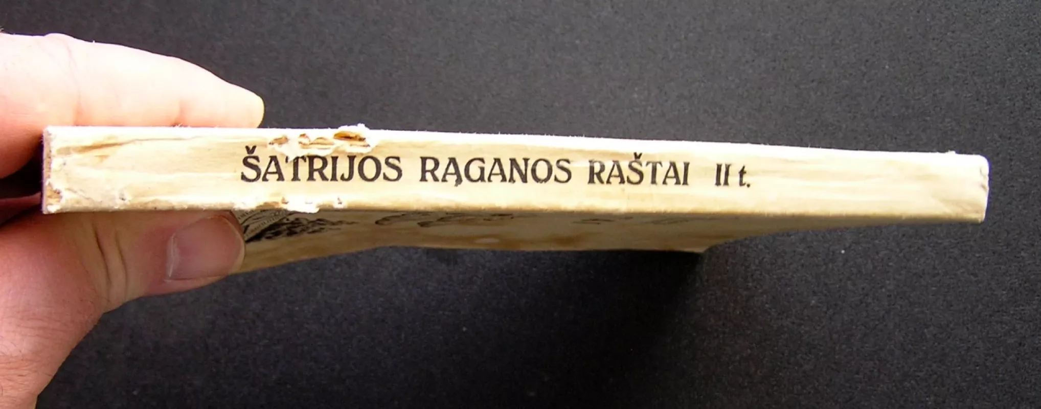 Šatrijos Raganos Raštai || tomas -  Šatrijos Ragana, knyga 6