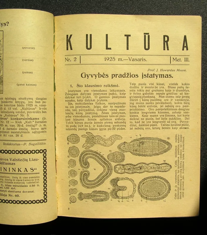 Kultūra. 1925 m. Nr. 1 – Nr. 12 - Redaktorius: P. Bugailiškis, knyga 5