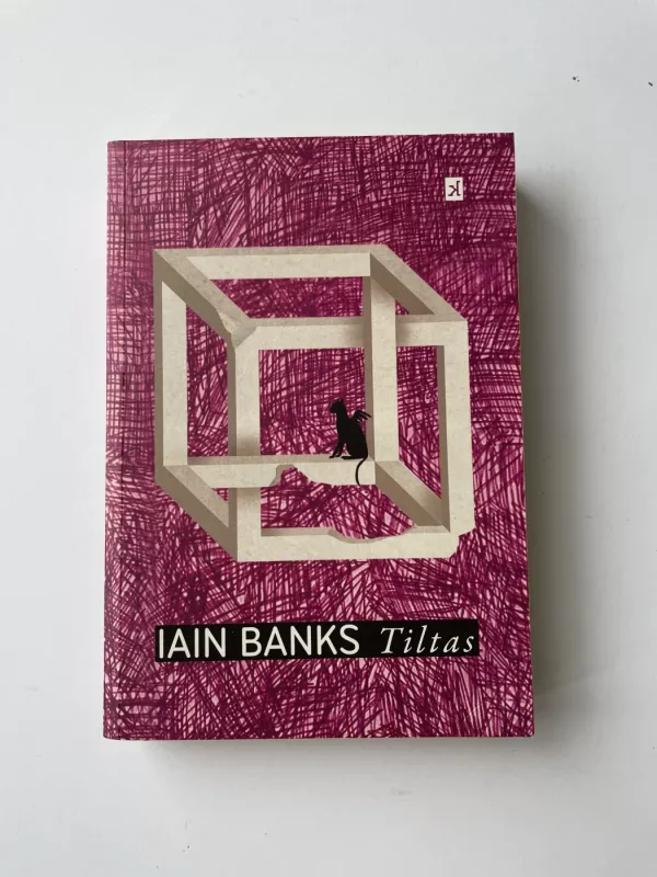 Tiltas - Iain Banks, knyga 2