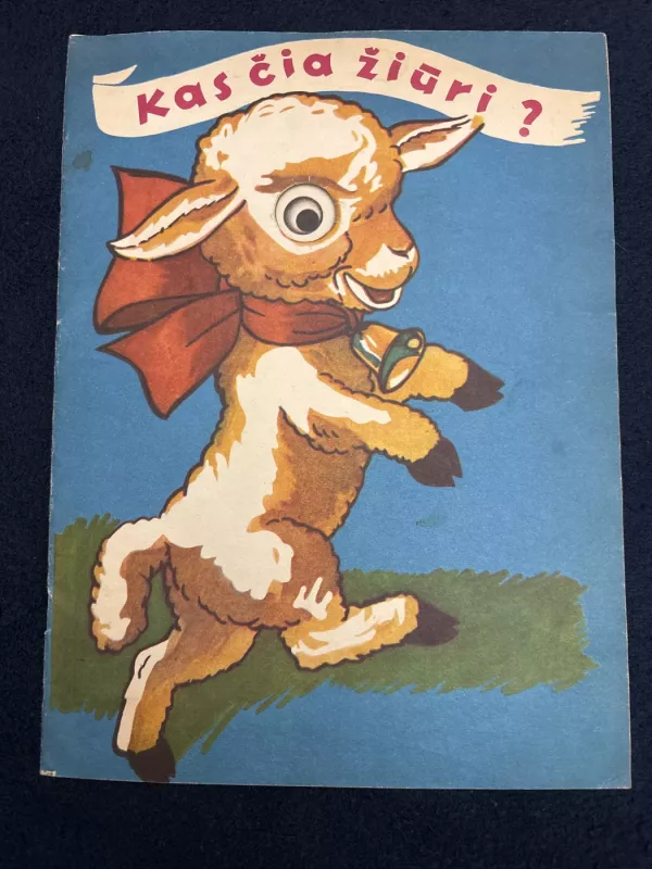 Kas čia žiūri? - Autorių Kolektyvas, knyga 2