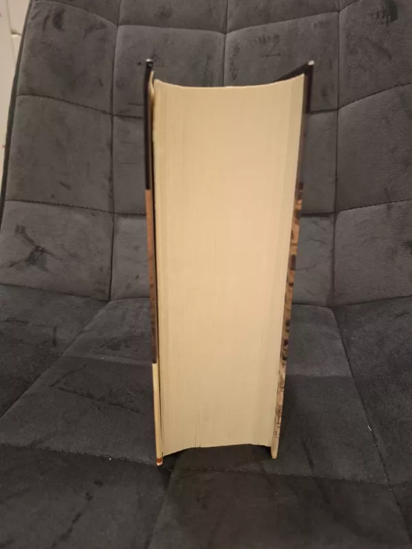 Stebuklingosios Nilso kelionės - Selma Lagerlöf, knyga 3