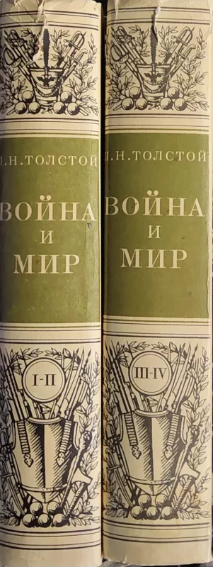 Vojna i mir (2 toma) - Lev Tolstoj, knyga 3
