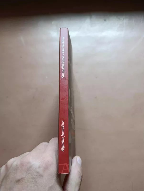 Susipažinkime - esu Teofilius - Algirdas Jurevičius, knyga 3