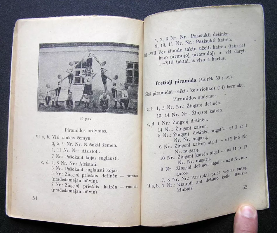 Grupinė mankšta berniukams ir mergaitėms - Vincentas Liulevičius, knyga 5