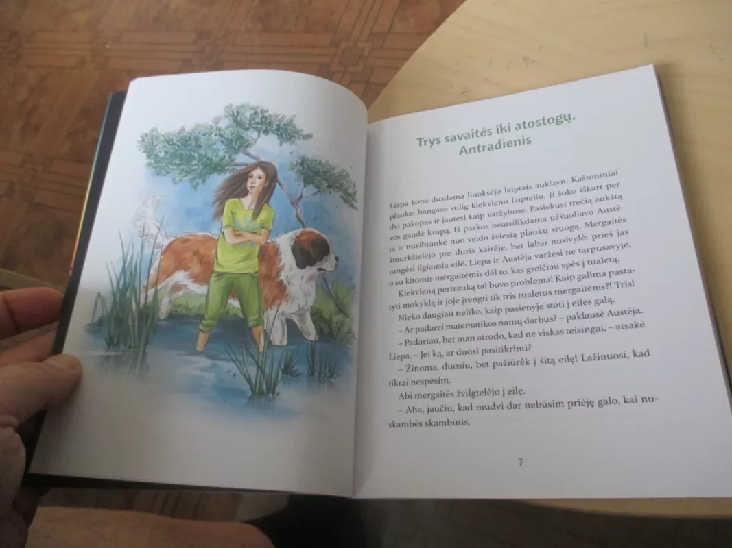 Liepa ir Rokis nepasiduoda - Eugenija Marks, knyga 6